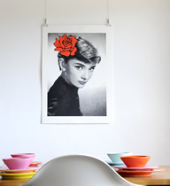 Audrey's Portrait #2 Red Rose