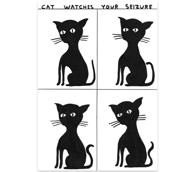 Cat watches your seizure
