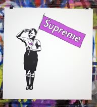 Supreme Steve - Purple
