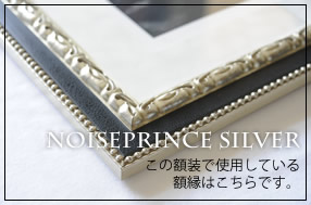 NOISEPRINCE Silver