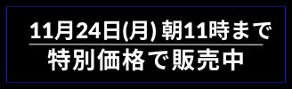 11月24日（月）
